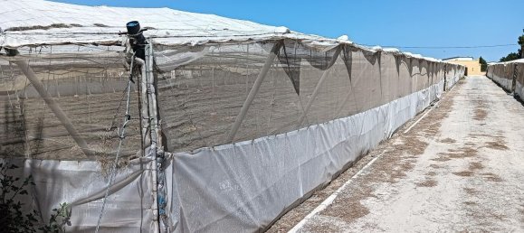 3 غرف نوم منزل في Sanlucar de Barrameda, Spain رقم 108382 5