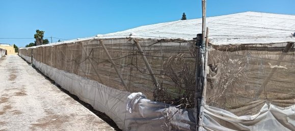 3 Schlafzimmer Haus in Sanlucar de Barrameda, Spain, Nr. 108382 29