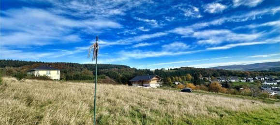  Land in Bernkastel-Wittlich, Germany No. 146234 2