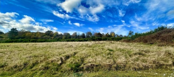 Land in Bernkastel-Wittlich, Germany No. 146234 4
