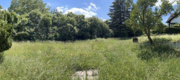 3 rooms Apartment in Konstanz, Germany No. 57037 7