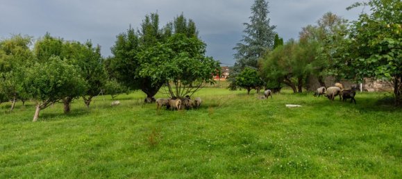 4 Schlafzimmer Haus in Cantabria, Spain, Nr. 162991 40