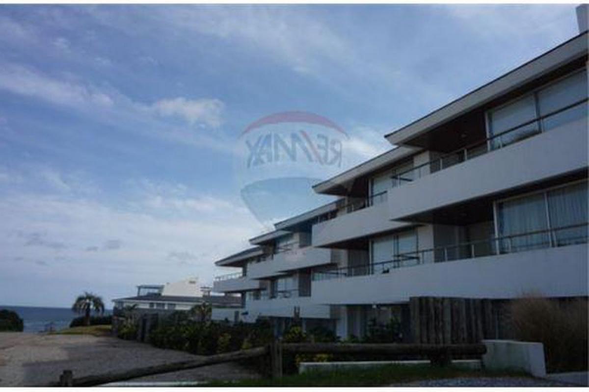 Studio in Maldonado, Uruguay, Nr. 362