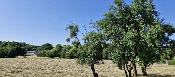  Land in Rohr im Burgenland, Austria No. 130417 3