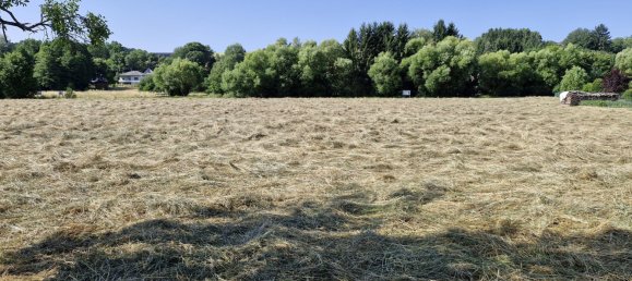  Land in Rohr im Burgenland, Austria No. 130417 4