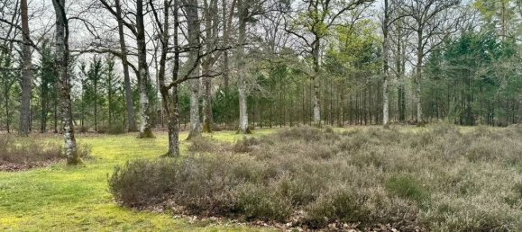 4 bedrooms Castles in Salbris, France No. 70618 13