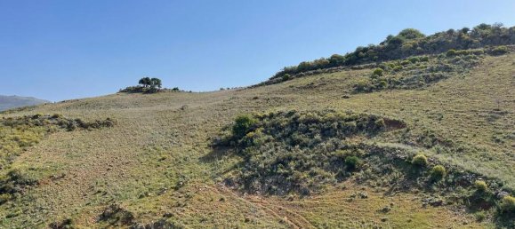 Hôtel à Chania, Greece 35000m² No. 2272 3