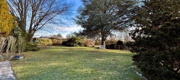1 chambre Bungalow à Trausdorf an der Wulka, Austria No. 131228 5