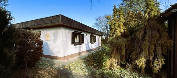 1 chambre Bungalow à Trausdorf an der Wulka, Austria No. 131228 12