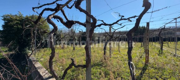 Villa de 5 dormitorios en Torre de' Passeri, Italy No. 82360 39