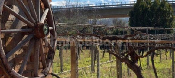 Villa de 5 dormitorios en Torre de' Passeri, Italy No. 82360 49