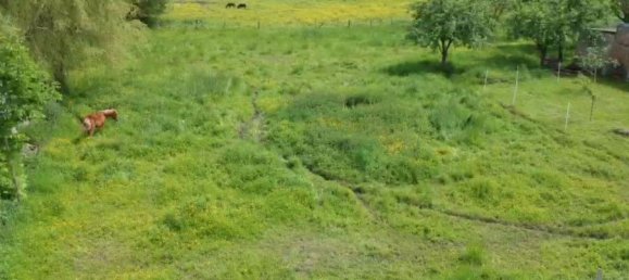 Земельный участок в Беллуа-сюр-Сомма, Франция № 72876 4