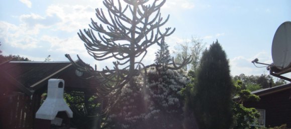 Bungalow T1 em Gifhorn, Germany N.º 145512 7