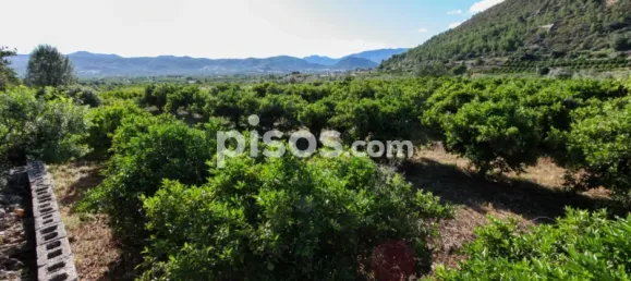  قطعة أرض في Sagra, Spain رقم 93905 4