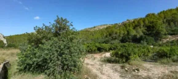  قطعة أرض في Sagra, Spain رقم 93905 8