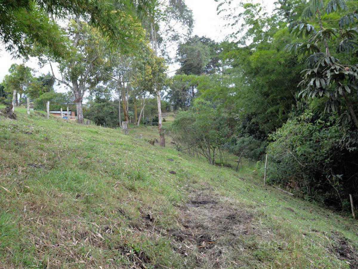  Land in Antioquia, Colombia No. 688