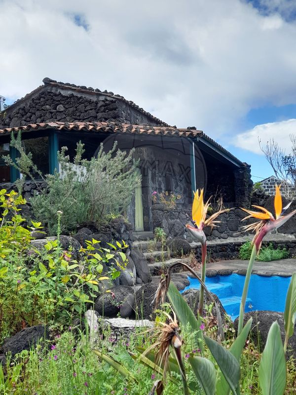 1 غرف نوم منزل في Sao Roque do Pico, Portugal رقم 33817