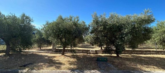 3320m² Land in San Vito Chietino, Italy No. 147120 10
