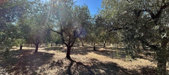 3320m² Land in San Vito Chietino, Italy No. 147120 9