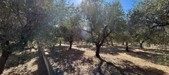 3320m² Land in San Vito Chietino, Italy No. 147120 5