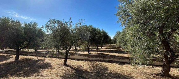 3320m² Land in San Vito Chietino, Italy No. 147120 8