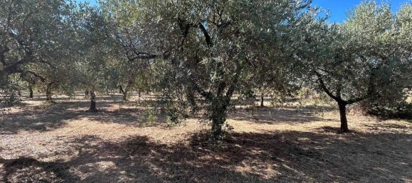 3320m² Land in San Vito Chietino, Italy No. 147120 6