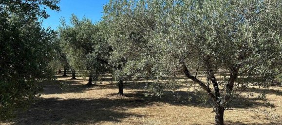3320m² Land in San Vito Chietino, Italy No. 147120 11
