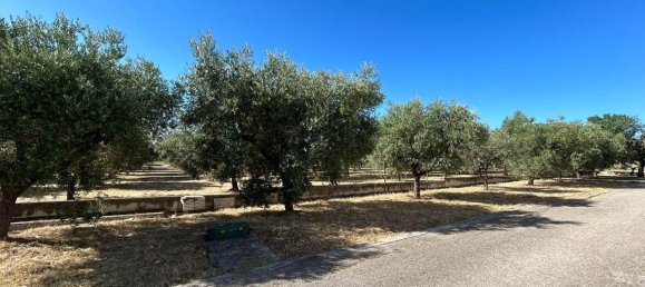 3320m² Land in San Vito Chietino, Italy No. 147120 7