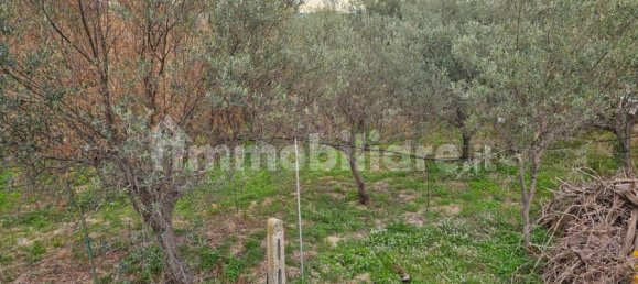 Вилла с 3 спальнями в Реджо Калабрия, Италия № 155907 55