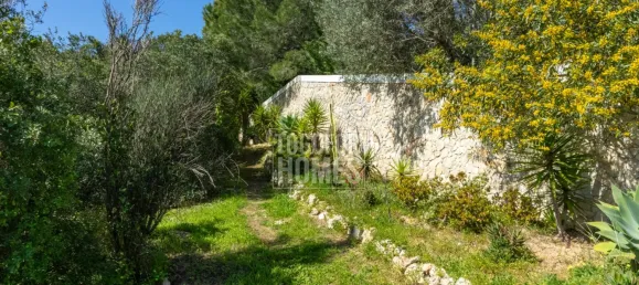 3 غرف نوم فيلا في Lagoa, Portugal رقم 133279 28