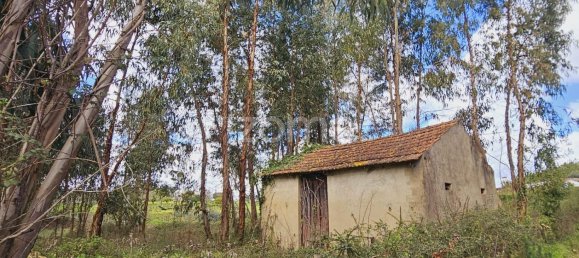 Casa de 6 dormitorios en Serta, Portugal No. 150415 19