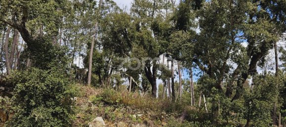 Casa de 6 dormitorios en Serta, Portugal No. 150415 25