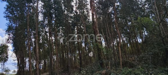 Casa de 6 dormitorios en Serta, Portugal No. 150415 18