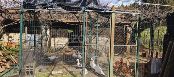 Casa de 6 dormitorios en Serta, Portugal No. 150415 22