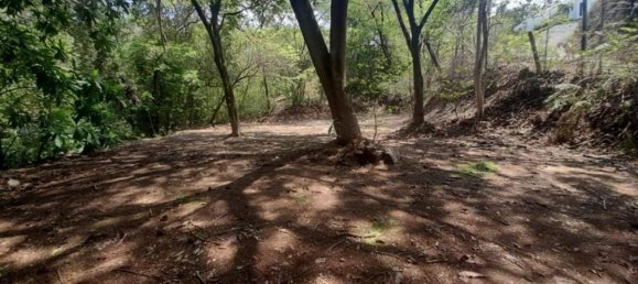  قطعة أرض في Nicoya, Costa Rica رقم 1960 4