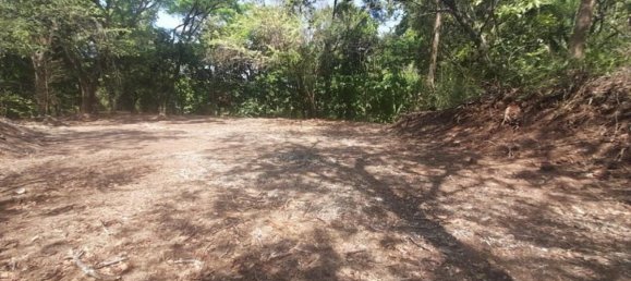  قطعة أرض في Nicoya, Costa Rica رقم 1960 2