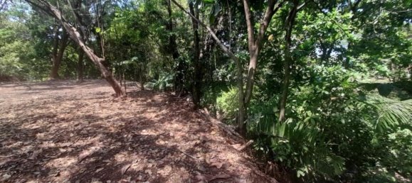  قطعة أرض في Nicoya, Costa Rica رقم 1960 5