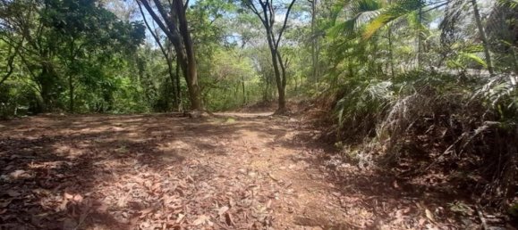  قطعة أرض في Nicoya, Costa Rica رقم 1960 6