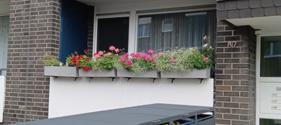 1 bedroom Apartment in Krefeld, Germany No. 335732 2