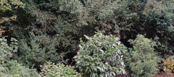 1 bedroom Apartment in Krefeld, Germany No. 335732 3