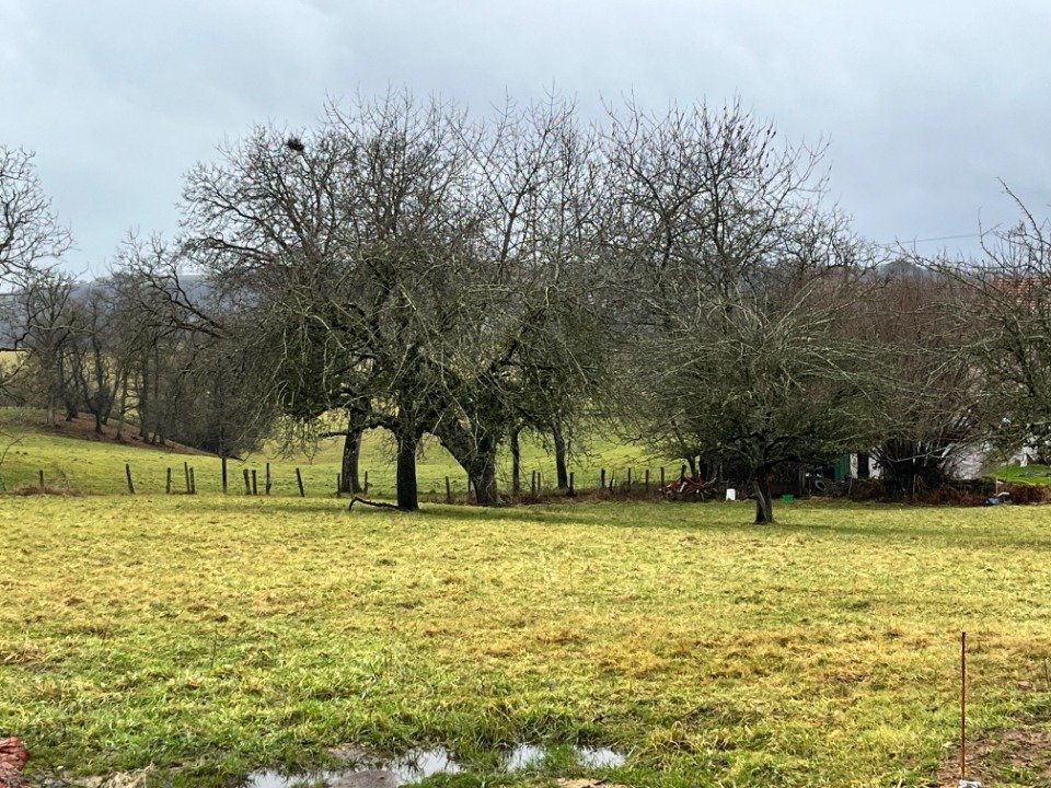 Terrain à Boisset, France No. 268849