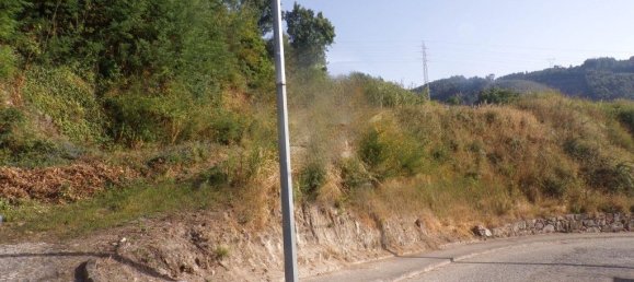 Grundstück in Santo Tirso, Portugal 8934m², Nr. 47064 4