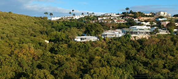 Terrain à Cedar Grove, Antigua and Barbuda No. 53 10
