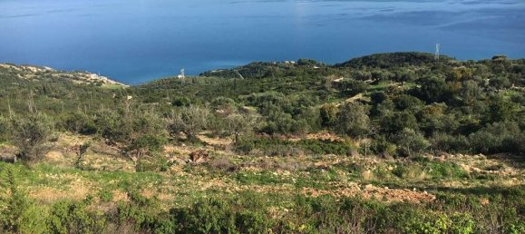  Hotel in Zakynthos, Greece No. 823 8