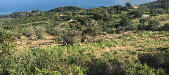 terrain à vendre à Zakynthos, Ionian Islands, Peloponnese, Western Greece and the Ionian, Greece № 823 7