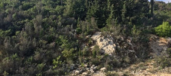  Hotel in Zakynthos, Greece No. 823 9