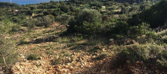  Hotel in Zakynthos, Greece No. 823 5