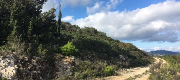  Hotel in Zakynthos, Greece No. 823 3