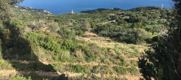  Hotel in Zakynthos, Greece No. 823 13