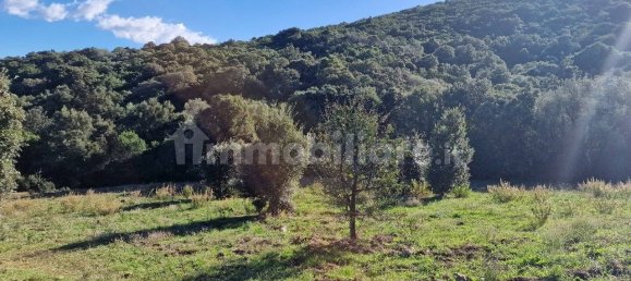 Земельный участок 160000м² в Ольбия, Италия № 144000 6